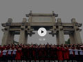 视频 | 中国阳明文化园热烈祝贺太极拳申报世界非遗成功